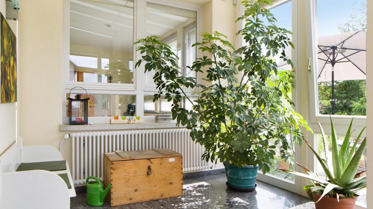 Ferienwohnung Zum Goldenen Kopf Elzach Eksteriør billede